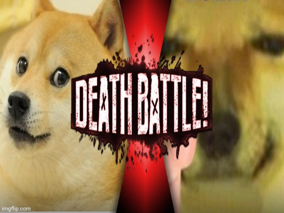 Forget Godzilla vs Kong, Doge Vs Cheems is the real deal | image tagged in doge,cheems,death battle,memes,stop reading the tags | made w/ Imgflip meme maker