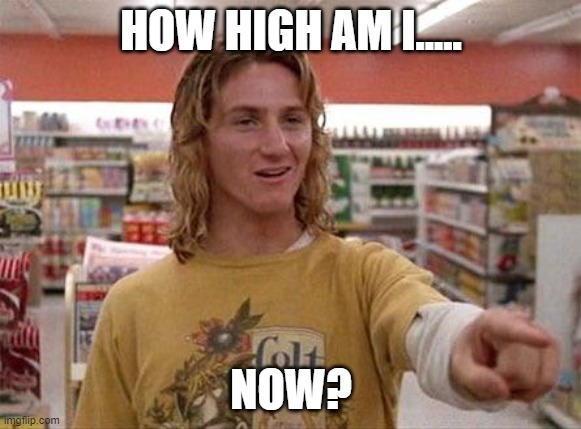 Jeff Spicoli | HOW HIGH AM I..... NOW? | image tagged in jeff spicoli | made w/ Imgflip meme maker