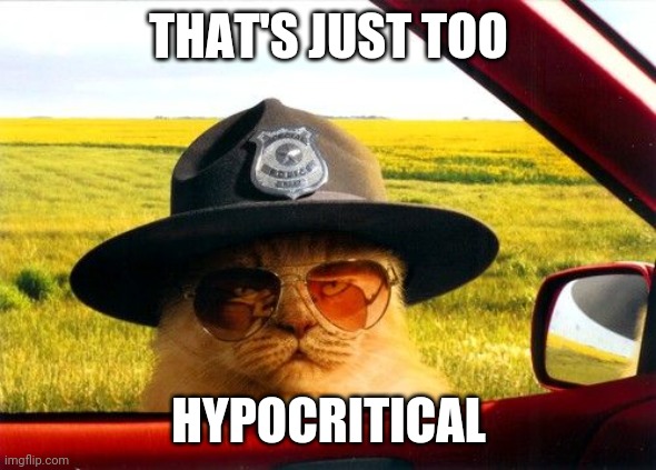 Busted by the Hypocrite Police | THAT'S JUST TOO HYPOCRITICAL | image tagged in busted by the hypocrite police | made w/ Imgflip meme maker