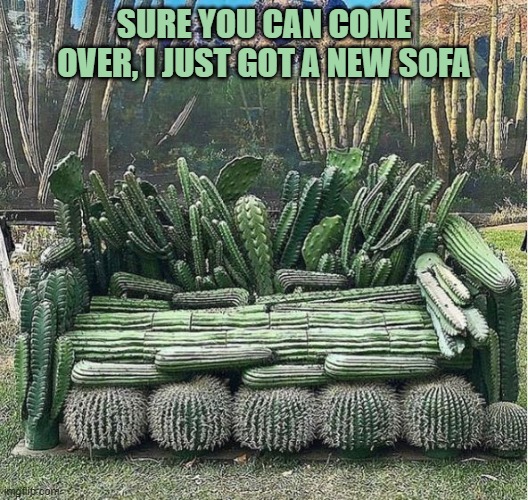 friends | SURE YOU CAN COME OVER, I JUST GOT A NEW SOFA | image tagged in lol so funny | made w/ Imgflip meme maker