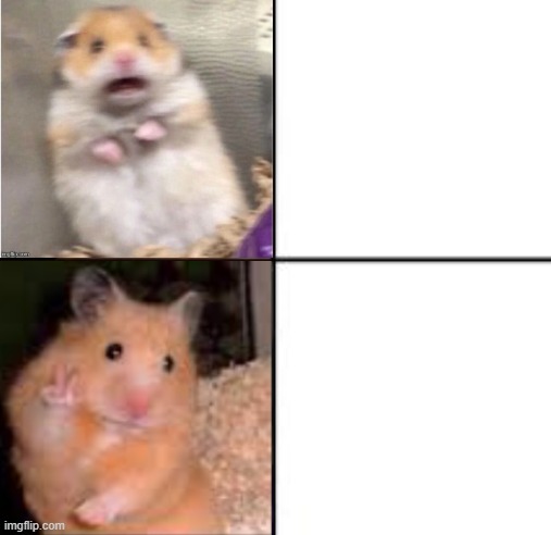 High Quality Scared Hamster Blank Meme Template