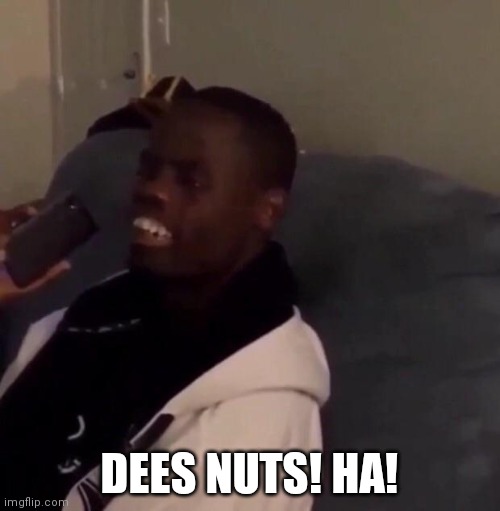 Deez Nutz | DEES NUTS! HA! | image tagged in deez nutz | made w/ Imgflip meme maker