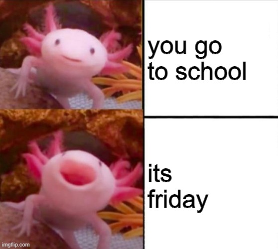 school | you go to school; its friday | image tagged in axolotl drake | made w/ Imgflip meme maker