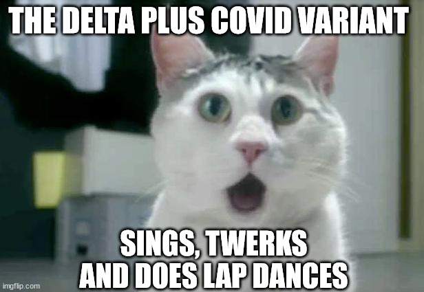 OMG Cat |  THE DELTA PLUS COVID VARIANT; SINGS, TWERKS AND DOES LAP DANCES | image tagged in memes,omg cat | made w/ Imgflip meme maker