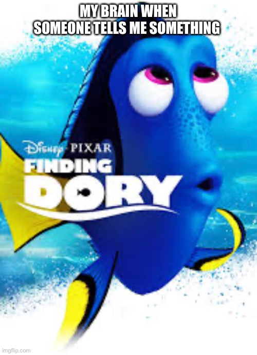On some finding dory type shit | MY BRAIN WHEN SOMEONE TELLS ME SOMETHING | image tagged in finding dory,relatable,memes | made w/ Imgflip meme maker