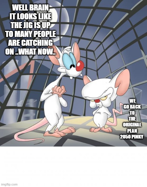 UN 2050 look it up | WELL BRAIN IT LOOKS LIKE THE JIG IS UP TO MANY PEOPLE ARE CATCHING ON ..WHAT NOW.. WE GO BACK TO THE ORIGINAL PLAN 2050 PINKY | image tagged in pinky and the brain | made w/ Imgflip meme maker