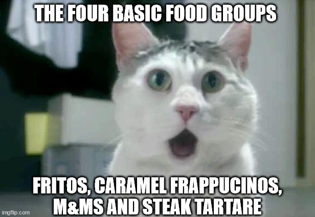OMG Cat |  THE FOUR BASIC FOOD GROUPS; FRITOS, CARAMEL FRAPPUCINOS, M&MS AND STEAK TARTARE | image tagged in memes,omg cat | made w/ Imgflip meme maker