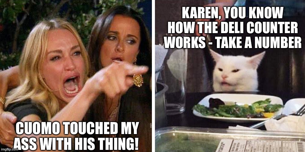 Cuomo touched my ass! | KAREN, YOU KNOW HOW THE DELI COUNTER WORKS - TAKE A NUMBER; CUOMO TOUCHED MY ASS WITH HIS THING! | image tagged in smudge the cat,cuomo sexual harassment,cuomo guilty | made w/ Imgflip meme maker