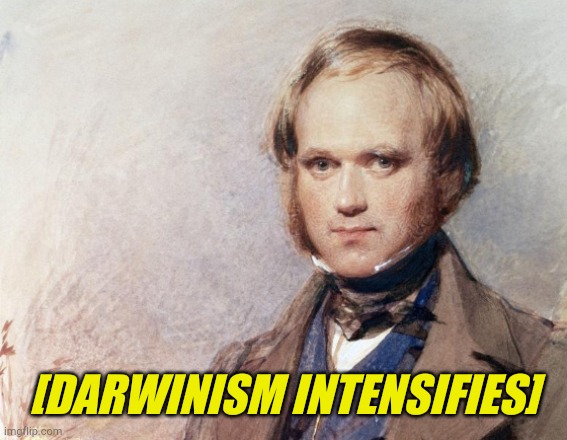 Darwinism Intensifies | [DARWINISM INTENSIFIES] | image tagged in darwinism intensifies | made w/ Imgflip meme maker
