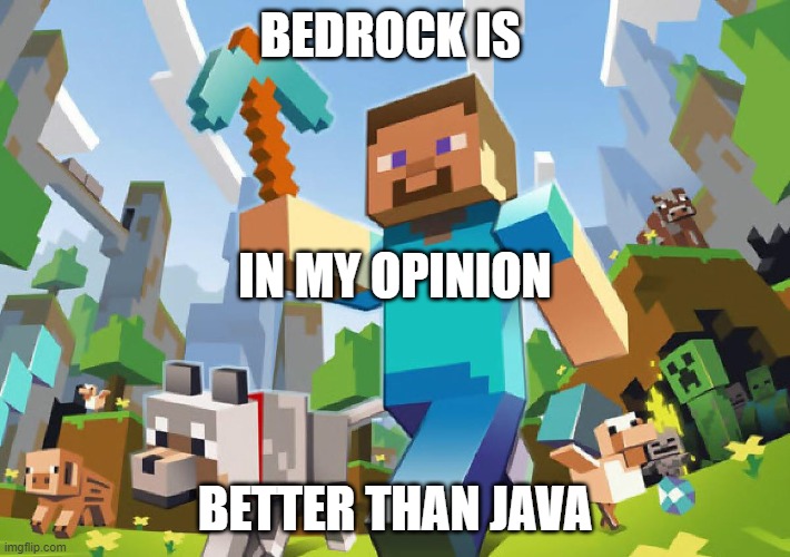 dont kill me please | BEDROCK IS; IN MY OPINION; BETTER THAN JAVA | image tagged in minecraft | made w/ Imgflip meme maker