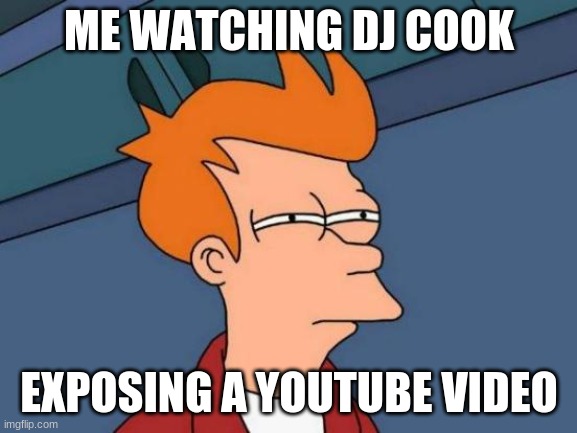 Futurama Fry | ME WATCHING DJ COOK; EXPOSING A YOUTUBE VIDEO | image tagged in memes,futurama fry | made w/ Imgflip meme maker