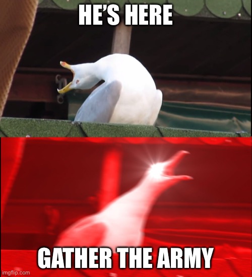 Screaming bird | HE’S HERE; GATHER THE ARMY | image tagged in screaming bird | made w/ Imgflip meme maker