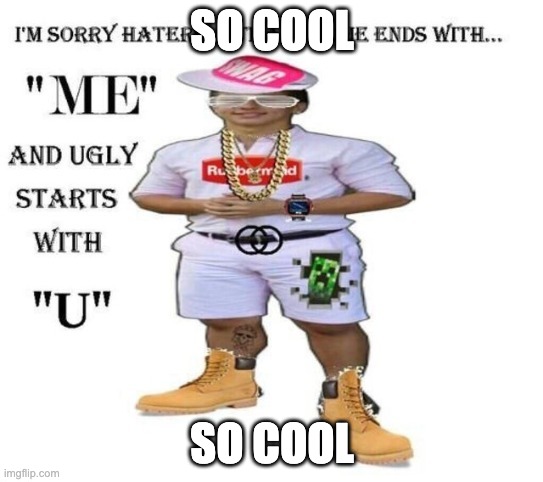 1v1 me scrub | SO COOL; SO COOL | image tagged in sorry haters | made w/ Imgflip meme maker