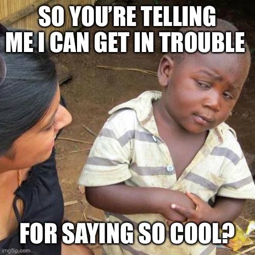 Welp | SO YOU’RE TELLING ME I CAN GET IN TROUBLE; FOR SAYING SO COOL? | image tagged in memes,third world skeptical kid | made w/ Imgflip meme maker