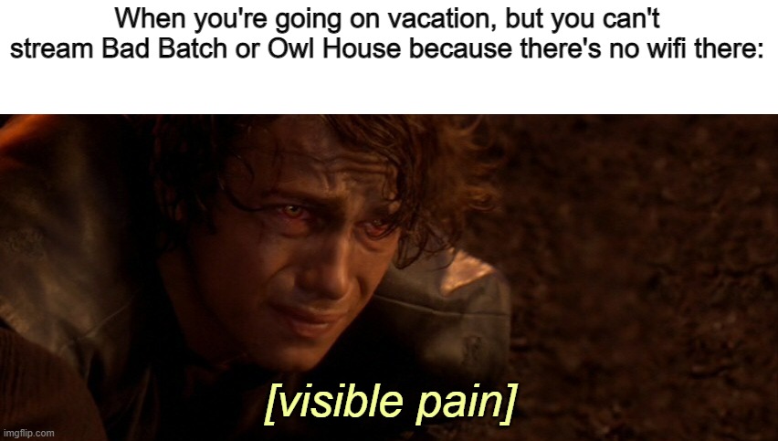 visible pain | When you're going on vacation, but you can't stream Bad Batch or Owl House because there's no wifi there: | image tagged in visible pain,darmug | made w/ Imgflip meme maker