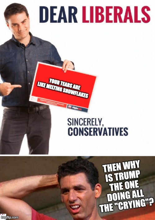 YOUR TEARS ARE LIKE MELTING SNOWFLAKES | image tagged in ben shapiro dear liberals,uhf | made w/ Imgflip meme maker