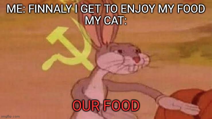 YOUR BOWL IS LITTERALY FULL | ME: FINNALY I GET TO ENJOY MY FOOD
MY CAT:; OUR FOOD | image tagged in soviet bugs bunny | made w/ Imgflip meme maker