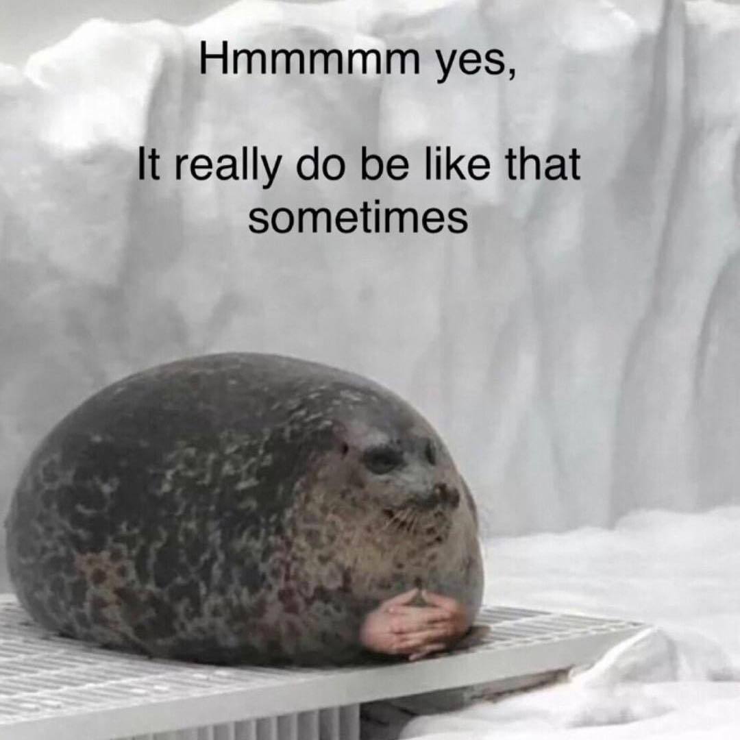 Seal Boi hmm yes it really do be like that sometimes Blank Meme Template