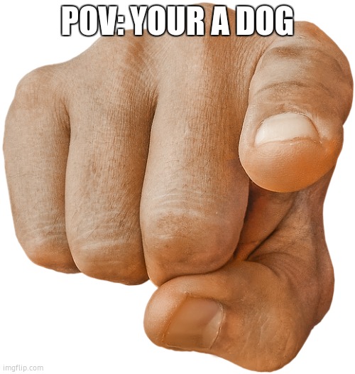 COMING FOR DA SNOOT | POV: YOUR A DOG | image tagged in pointing finger | made w/ Imgflip meme maker