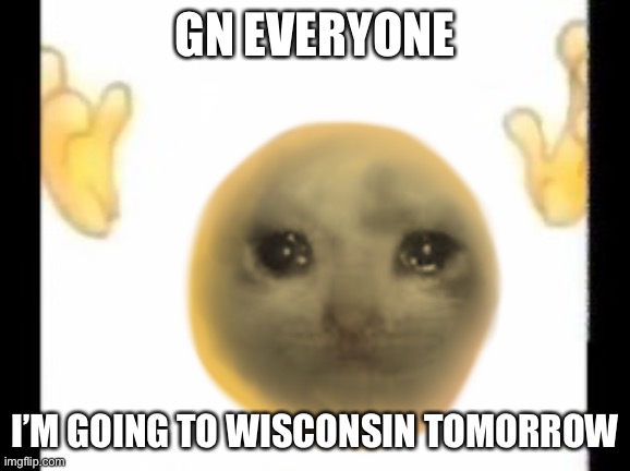 Cursed crying cat emoji | GN EVERYONE; I’M GOING TO WISCONSIN TOMORROW | image tagged in cursed crying cat emoji | made w/ Imgflip meme maker