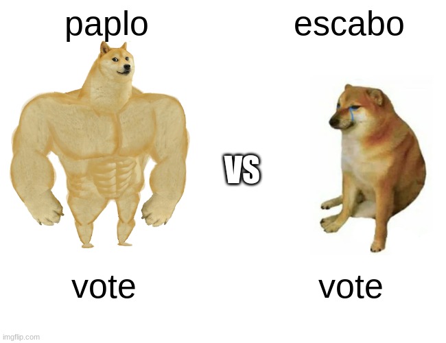 paplo vs escabo | paplo; escabo; VS; vote; vote | image tagged in memes,buff doge vs cheems | made w/ Imgflip meme maker