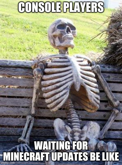 Minecraft on ps4 be like | CONSOLE PLAYERS; WAITING FOR MINECRAFT UPDATES BE LIKE | image tagged in memes,waiting skeleton | made w/ Imgflip meme maker