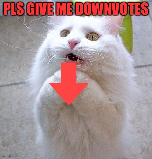 Begging Cat | PLS GIVE ME DOWNVOTES | image tagged in begging cat | made w/ Imgflip meme maker