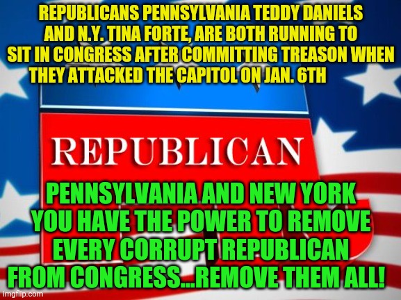 Republican Party | REPUBLICANS PENNSYLVANIA TEDDY DANIELS AND N.Y. TINA FORTE, ARE BOTH RUNNING TO SIT IN CONGRESS AFTER COMMITTING TREASON WHEN THEY ATTACKED THE CAPITOL ON JAN. 6TH; PENNSYLVANIA AND NEW YORK YOU HAVE THE POWER TO REMOVE EVERY CORRUPT REPUBLICAN FROM CONGRESS...REMOVE THEM ALL! | image tagged in republican party | made w/ Imgflip meme maker