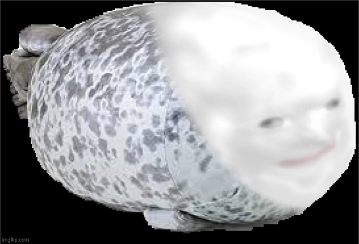 TROLOLOLOLOLOL | image tagged in trolololololol | made w/ Imgflip meme maker