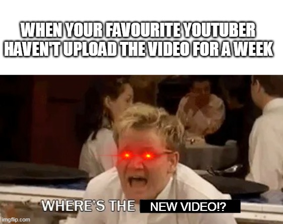 New videos where? | WHEN YOUR FAVOURITE YOUTUBER HAVEN'T UPLOAD THE VIDEO FOR A WEEK; NEW VIDEO!? | image tagged in gordon ramsay where's the lamb sauce | made w/ Imgflip meme maker
