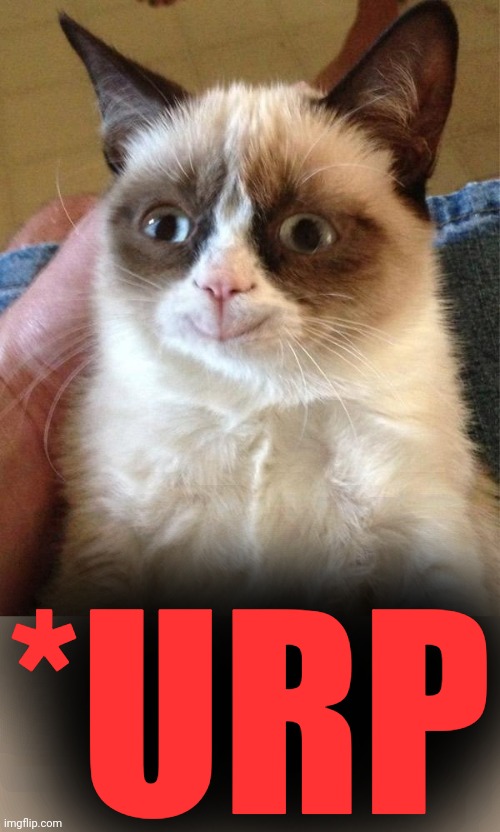 Grumpy Cat Smiling | *URP | image tagged in grumpy cat smiling | made w/ Imgflip meme maker