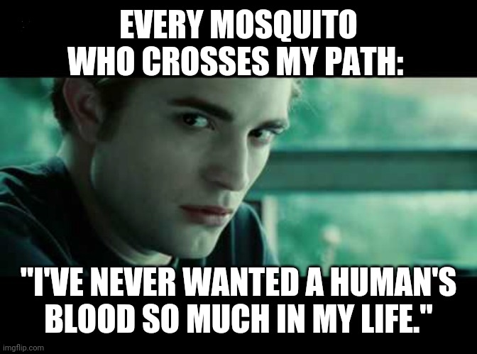 Edward-Cullen-fake-science | EVERY MOSQUITO WHO CROSSES MY PATH:; "I'VE NEVER WANTED A HUMAN'S
BLOOD SO MUCH IN MY LIFE." | image tagged in edward cullen,twilight,mosquitoes | made w/ Imgflip meme maker