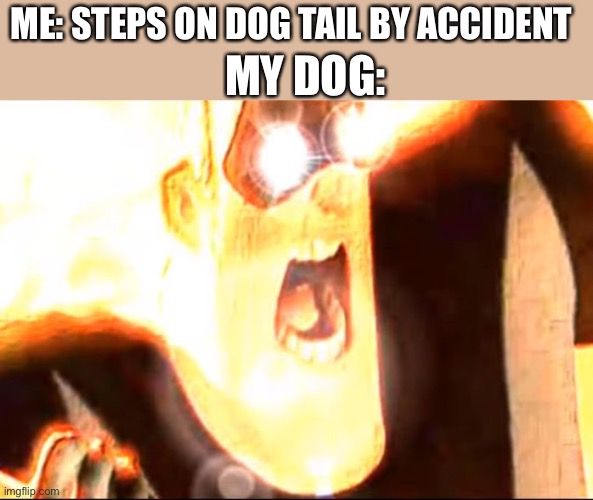 Rapture | MY DOG:; ME: STEPS ON DOG TAIL BY ACCIDENT | image tagged in deep fried mr incredible | made w/ Imgflip meme maker