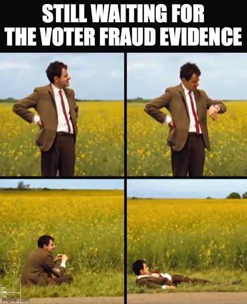 Mr bean waiting | STILL WAITING FOR THE VOTER FRAUD EVIDENCE | image tagged in mr bean waiting | made w/ Imgflip meme maker