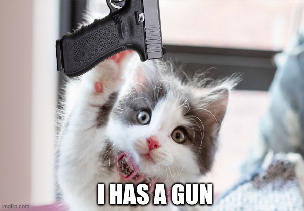 you are being threatend | I HAS A GUN | image tagged in cat,cats,cute cat | made w/ Imgflip meme maker