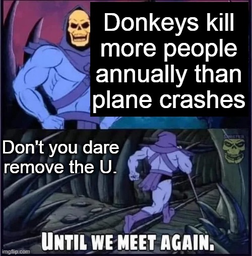Until we meet again | Donkeys kill more people annually than plane crashes; Don't you dare remove the U. | image tagged in until we meet again | made w/ Imgflip meme maker