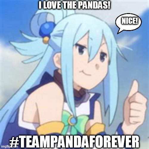 ? | I LOVE THE PANDAS! NICE! #TEAMPANDAFOREVER | image tagged in another anime thumb,totm | made w/ Imgflip meme maker