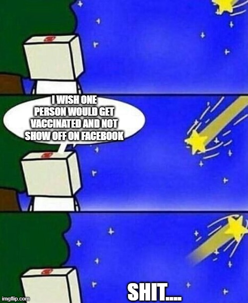 falling star wish desire disappointment | I WISH ONE PERSON WOULD GET VACCINATED AND NOT SHOW OFF ON FACEBOOK; SHIT.... | image tagged in falling star wish desire disappointment | made w/ Imgflip meme maker