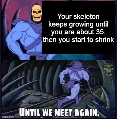 Until we meet again | Your skeleton keeps growing until you are about 35, then you start to shrink | image tagged in until we meet again | made w/ Imgflip meme maker