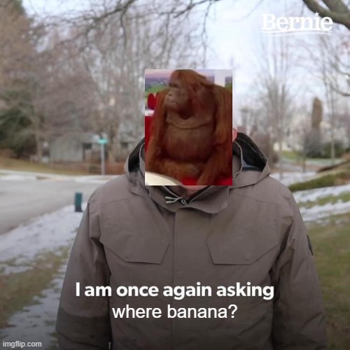 Bernie I Am Once Again Asking For Your Support Meme | where banana? | image tagged in memes,bernie i am once again asking for your support | made w/ Imgflip meme maker