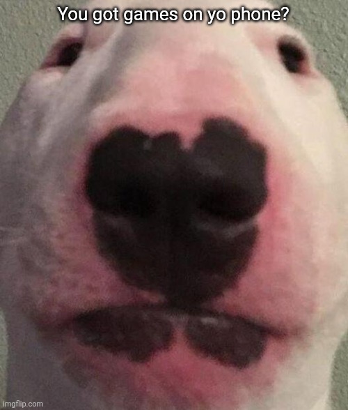 Games |  You got games on yo phone? | image tagged in walter,dog,games | made w/ Imgflip meme maker