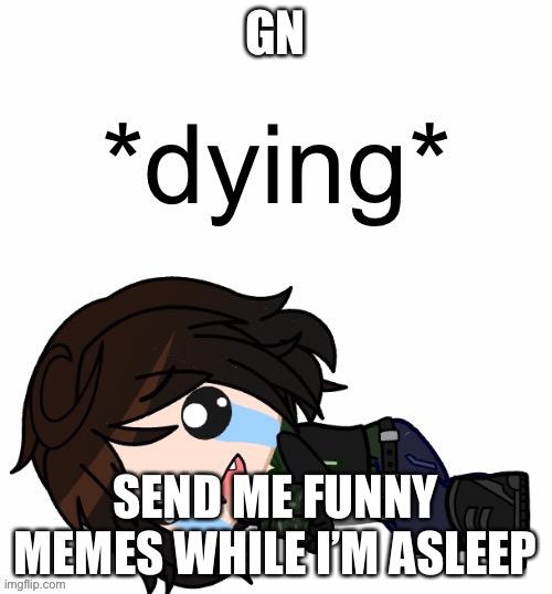 *dying* | GN; SEND ME FUNNY MEMES WHILE I’M ASLEEP | image tagged in dying | made w/ Imgflip meme maker