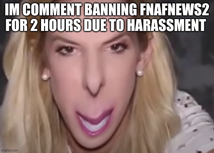 d | IM COMMENT BANNING FNAFNEWS2 FOR 2 HOURS DUE TO HARASSMENT | image tagged in me when the | made w/ Imgflip meme maker