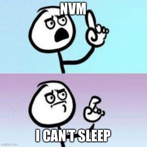 wait... nevermind  | NVM; I CAN’T SLEEP | image tagged in wait nevermind | made w/ Imgflip meme maker