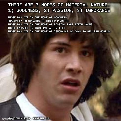 Gita Reaves | THERE ARE 3 MODES OF MATERIAL NATURE. 
1) GOODNESS, 2) PASSION, 3) IGNORANCE; THOSE WHO DIE IN THE MODE OF GOODNESS GRADUALLY GO UPWARDS TO HIGHER PLANETS.  
THOSE WHO DIE IN THE MODE OF PASSION TAKE BIRTH AMONG THOSE ENGAGED IN FRUITIVE ACTIVITIES.  
THOSE WHO DIE IN THE MODE OF IGNORANCE GO DOWN TO HELLISH WORLDS. -BHAGAVAD GITA, CHAPTER 14 | image tagged in memes,conspiracy keanu | made w/ Imgflip meme maker