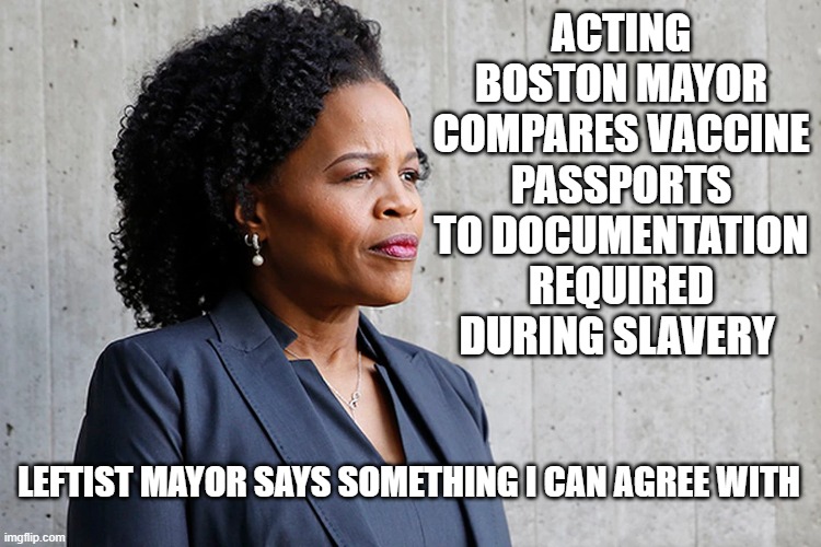 she is not wrong | ACTING BOSTON MAYOR COMPARES VACCINE PASSPORTS TO DOCUMENTATION REQUIRED DURING SLAVERY; LEFTIST MAYOR SAYS SOMETHING I CAN AGREE WITH | made w/ Imgflip meme maker