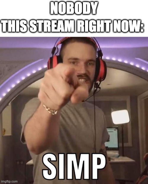 PewDiePie Simp | NOBODY; THIS STREAM RIGHT NOW: | image tagged in pewdiepie simp | made w/ Imgflip meme maker