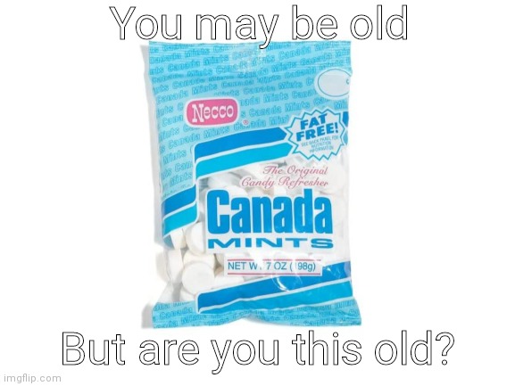 R.I.P Canada Mints. You're refreshingly amazing flavor will never be forgotten | You may be old; But are you this old? | image tagged in blank white template,mints,canada mints,now that you're here reading the tags go get me some pizza | made w/ Imgflip meme maker