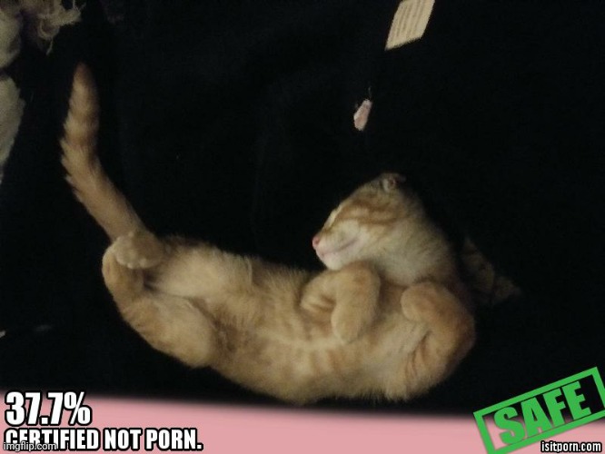 I- *wheeze* | made w/ Imgflip meme maker