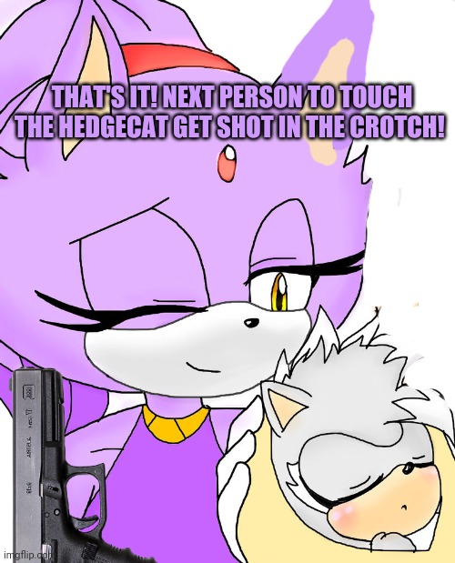 Now Blaze is mad! | THAT'S IT! NEXT PERSON TO TOUCH THE HEDGECAT GET SHOT IN THE CROTCH! | image tagged in blaze the cat,baby,hedgecat,get the gun,sonic the hedgehog | made w/ Imgflip meme maker